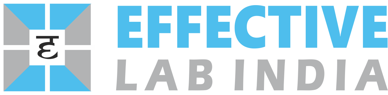 website logo